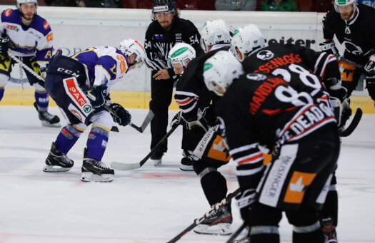 Eishockey-Team_Bild3